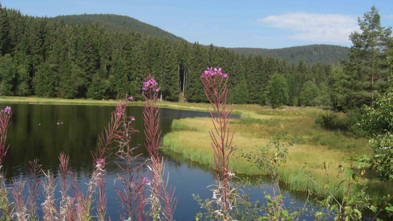 Weitblick "Entspannen - Wohlfuehlen - Aktiv Erholen" Elzach Exterior foto
